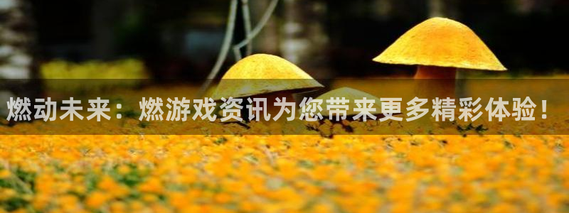 多彩娱乐网页登录入口：燃动未来：燃游戏资讯为您带来更多精彩体