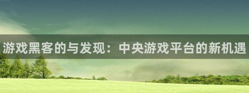 多彩娱乐在线登录：游戏黑客的与发现：中央游戏平台的新机遇