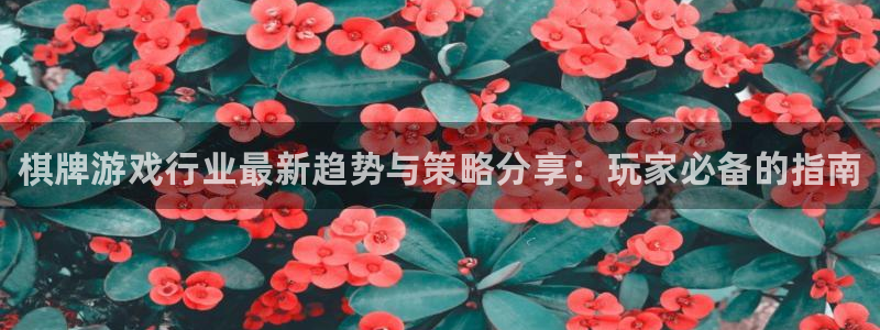 多彩娱乐注册登录平台：棋牌游戏行业最新趋势与策略分享：玩家必
