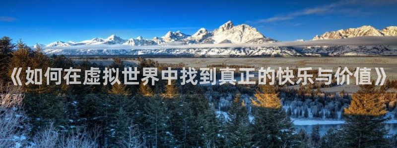 多彩娱乐集团：《如何在虚拟世界中找到真正的快乐与价值》