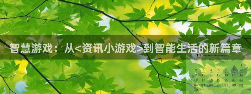 多彩娱乐主管：智慧游戏：从<资讯小游戏>到智能生活的新篇章