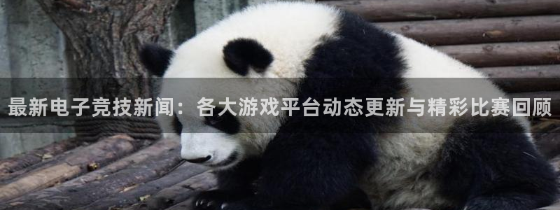 多彩娱乐下载链接：最新电子竞技新闻：各大游戏平台动态更新与精